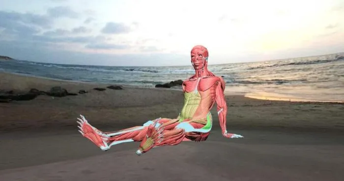 VR游戏《瑜伽训练师VirtuaLiron.Immersive YOGA practice MAIN [0.7]》[英文][百度网盘][424.97MB][百度网盘]