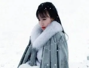 102集全！李子柒YouTube网红视频MKV 13.53GB百度云下载-小文资源网