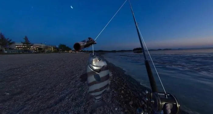 VR游戏《真实钓鱼汉化商店解锁版合集Real Vr Fishing》[501.06MB][百度网盘]