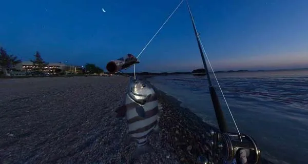VR游戏《真实钓鱼汉化商店解锁版合集Real Vr Fishing》[1.03GB][百度网盘]