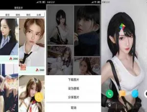 安卓壁纸助手：内置海量潮图美女，支持搜索下载保存[百度网盘]-小文资源网