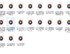 Android必看！相亲21计教程百度网盘分享-小文资源网