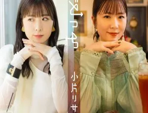 Ogata Risa 小片リサ日本演唱会 2022 限定 A、B 版 BD 资源 11.2GB 百度网盘-小文资源网