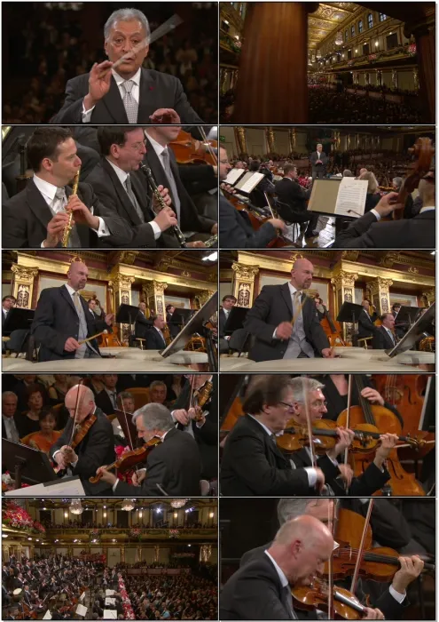 [BD欧美演唱会]2015年维也纳新年音乐会 Vienna Philharmonic New Year s Concert 2015[BDMV][45.5G][百度网盘]