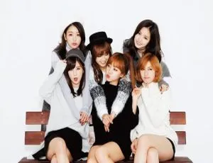 APink 首场演唱会 Pink Paradise 11.9G 高清 DVD 资源 百度网盘速存