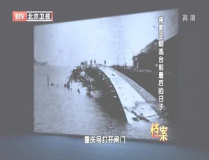 2012 BTV 档案：蒋家王朝逃台前的最后日子 720p 高清资源