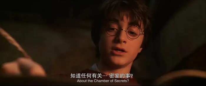 美剧《 哈利·波特与密室》(2002)国粤英三语/内嵌中英双字