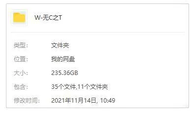 美剧《无耻之徒》11季(Showtime出品)高清/英音中字/视频合集【百度云/阿里云网盘下载】