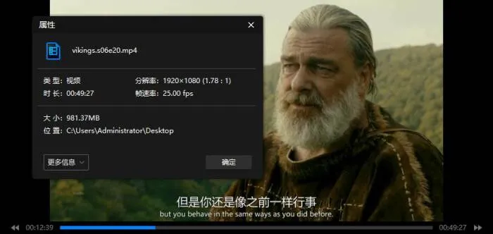 美剧《维京传奇/Vikings》全6季(287.01GB)高清/英语中字/视频合集【百度云网盘下载】