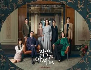 金高银主演《小小姐们》12集高清原声中字百度云网盘视频合集下载