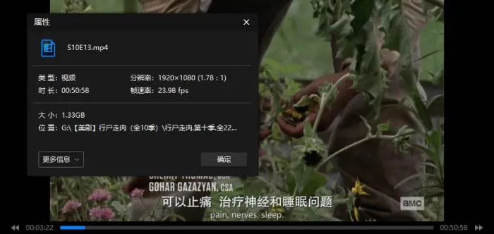 美剧《行尸走肉/阴尸路》10季+衍生剧2季(AMC出品 )高清/英语中字/视频合集【阿里云/迅雷云网盘下载】