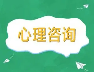 7.07GB 心理学《心理咨询》音频合集：理论技术测量与团体辅导 百度云盘下载-小文资源网