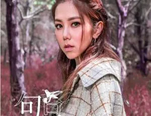 G.E.M邓紫棋18张专辑无损歌曲合集大打包-小文资源网