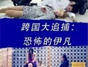 2016 动作犯罪神作《跨国大追捕：恐怖的伊凡》 全 1 集 4.83G 百度下载