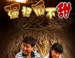 2008 必看！《强扭瓜不甜》中文字幕全 1 集 4.86G 百度下载-小文资源网