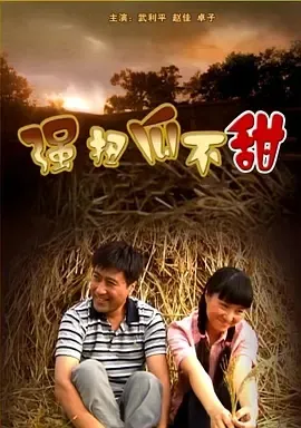 2008《强扭瓜不甜》[中文字幕/全1集4.86G][百度下载]