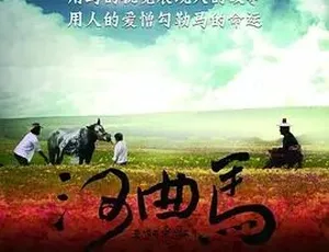 2013《河曲马》全1集5.24G 汉语普通话 百度下载