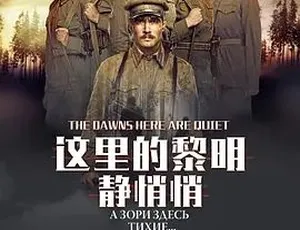 2015《这里的黎明静悄悄》：剧情战争大片，中字全1集6G 百度速下-小文资源网