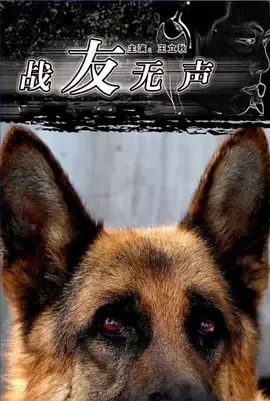 2007《战友无声》[汉语普通话/全1集4.34G][百度下载]