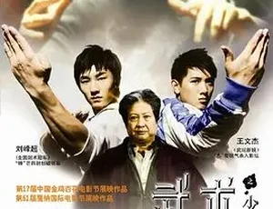 2008 必看！武术少年热血动作剧情片《武术之少年行》 百度下载 4.71G 全 1 集