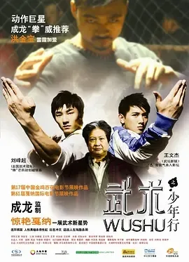 2008《武术之少年行》[剧情/动作/家庭][汉语普通话/全1集4.71G][百度下载]
