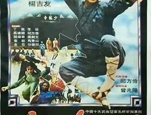 1983 经典《少林寺弟子》：全 1 集 4.59G 武侠动作古装大片，百度速下-小文资源网