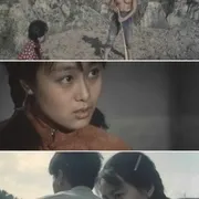 1984《人生》[剧情/爱情][汉语普通话/全1集6.65G][百度下载]