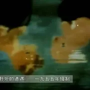 1955《野外的遭遇》[汉语普通话/全1集55.49M][百度下载]