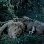 2019《狮子王 The Lion King》[剧情/动画/冒险][英语/全1集58.97G][百度下载]