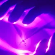 2023《奇迹少女 Miraculous: Le Film》[喜/动画/奇幻/冒险][英语/法语/西班牙语/全1集3.94G][百度下载]