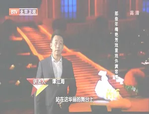 2012 BTV档案：梅艳芳戏里戏外的悲情故事 720p高清百度盘资源-小文资源网