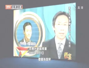 2012 BTV档案：揭秘张国荣那些年无法飞翔的生活 720p高清 百度盘资源-小文资源网