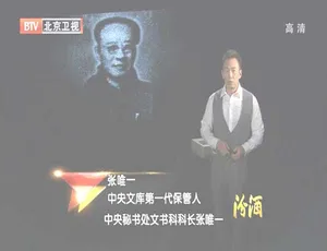 2012年BTV档案：揭秘“中央文库”背后风云 720p高清 百度盘资源-小文资源网