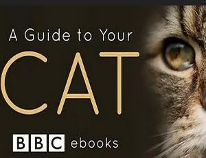 必看！BBC纪录片《猫咪观察》3集全 英语中字MP4 2.03GB 百度云速下-小文资源网