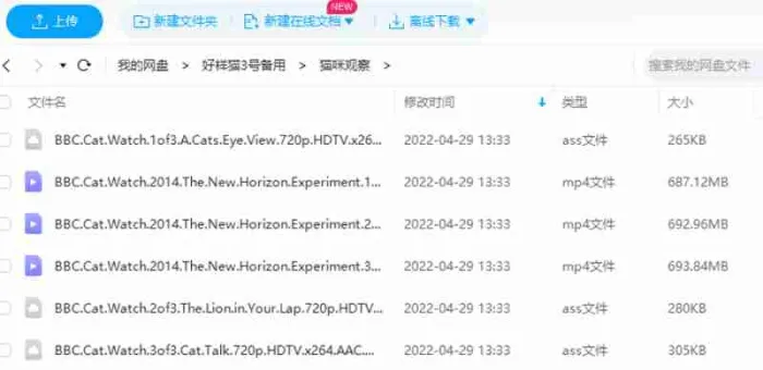 BBC纪录片《猫咪观察》全3集视频英语外挂中字[MP4/2.03GB]百度云网盘下载