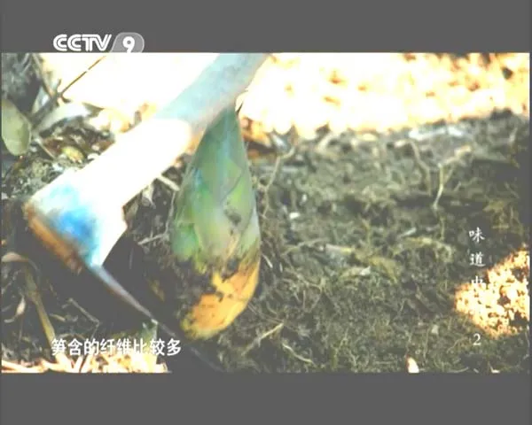 [2014][中国大陆][味道中山][全6集][3G][百度盘]