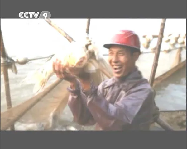 [2014][中国大陆][味道中山][全6集][3G][百度盘]