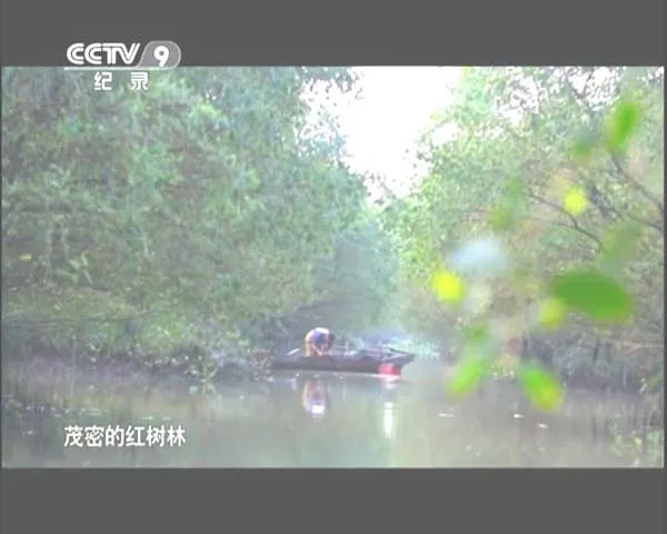 [2014][中国大陆][味道中山][全6集][3G][百度盘]