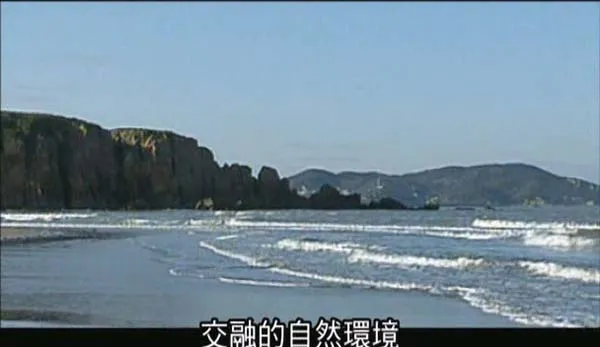 [2004][中国大陆][中国古典园林之旅][5.1G][百度盘]