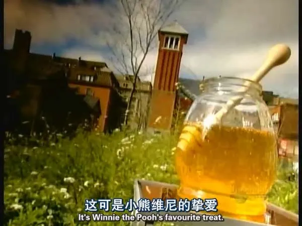 [2011][美国][探索频道.造物小百科][640×480][6G][百度盘]