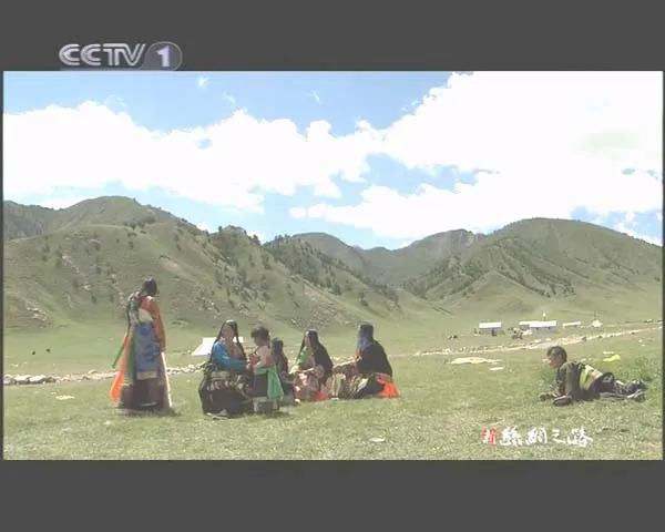 [2006][中国大陆][新丝绸之路][11集全][4.2G][百度盘]