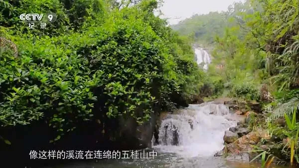 [2014][中国大陆][味道中山][2G][百度盘]