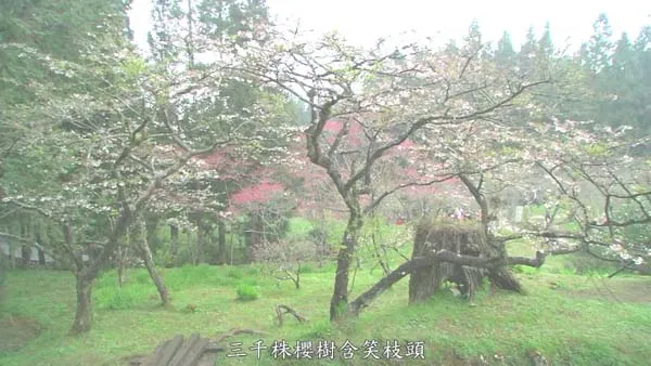 [2009][中国台湾][台湾散步][3.5G][百度盘]