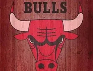 2004 美国 NBA 王朝之芝加哥公牛队 1.65G 百度盘资源-小文资源网