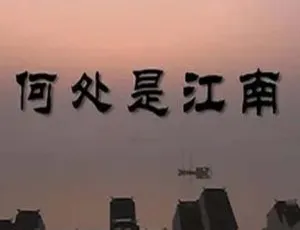 2011 中国大陆电影《何处是江南》5.55G 百度盘资源-小文资源网