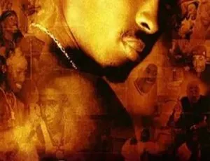 2004 美国电影《风华再现》1.46G DVDRip 资源 百度盘速取-小文资源网