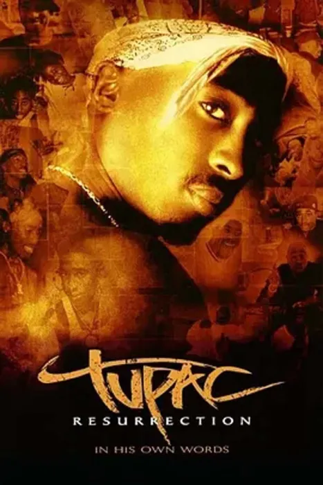 [2004][美国][风华再现][DVDRip][1.46G][百度盘]