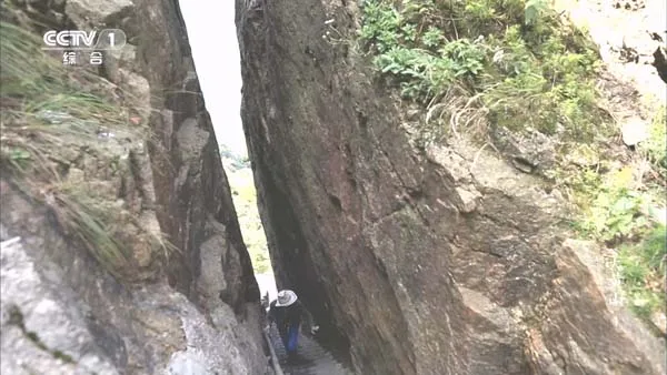 [2014][中国大陆][大黄山][3.6G][百度盘]
