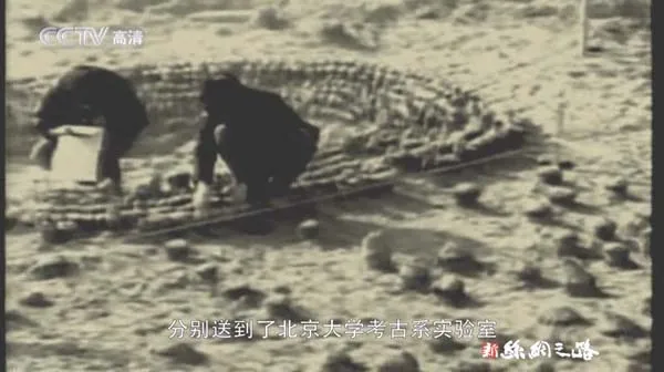 [2006][CCTV纪录片][新丝绸之路][3.2G][百度盘]