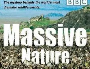 高清国语！BBC纪录片《群体大自然》858.51MB RMVB 百度云网盘速下-小文资源网